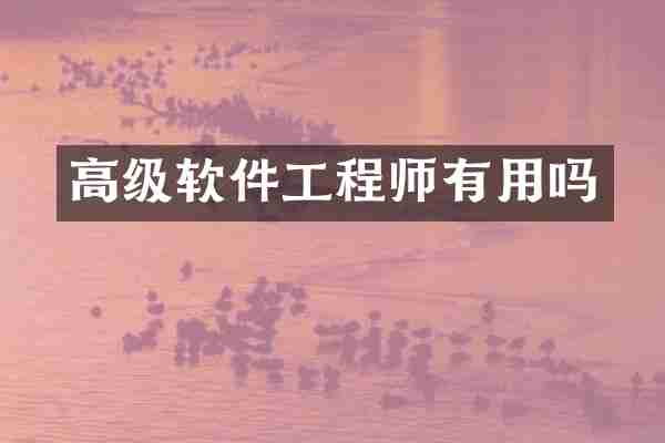 高级软件工程师有用吗