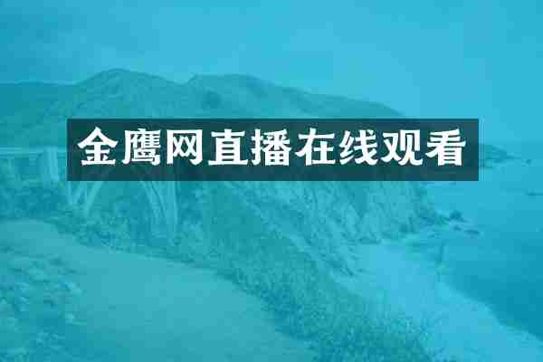 金鹰网直播在线观看