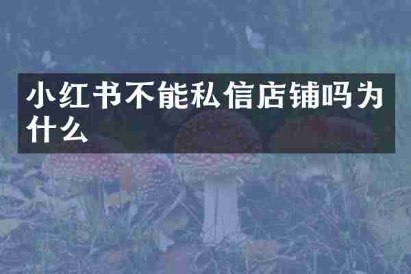 小红书不能私信店铺吗为什么