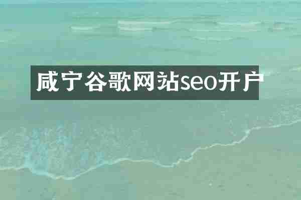 咸宁谷歌网站seo开户