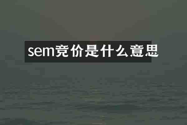 sem竞价是什么意思