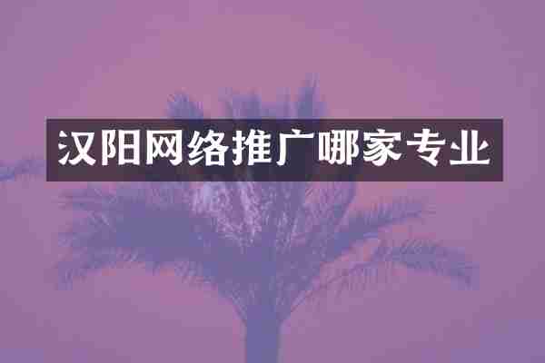 汉阳网络推广哪家专业