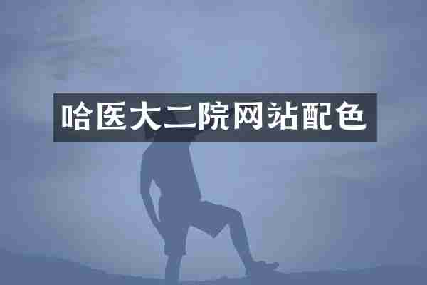 哈医大二院网站配色