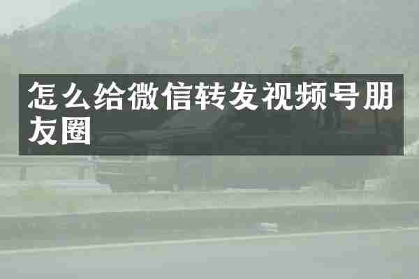 怎么给微信转发视频号朋友圈
