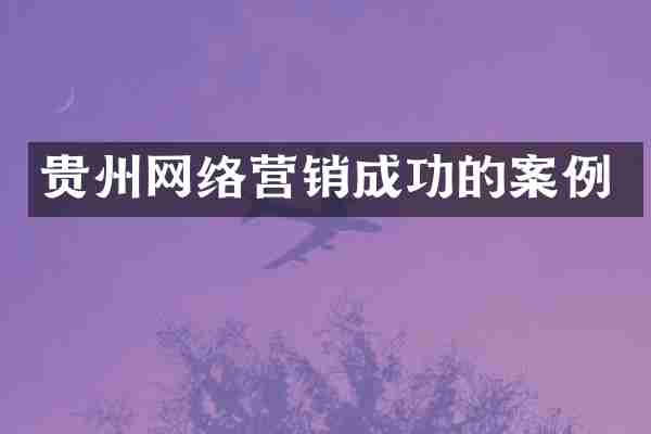 贵州网络营销成功的案例