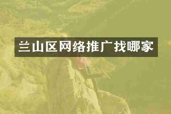 兰山区网络推广找哪家