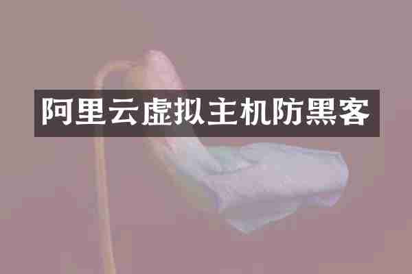 阿里云虚拟主机防黑客