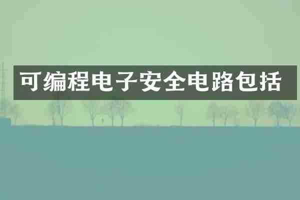 可编程电子安全电路包括