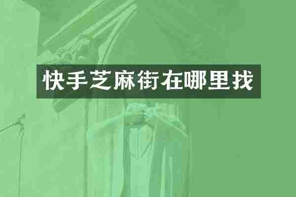 快手芝麻街在哪里找