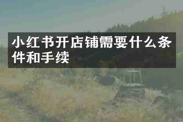 小红书开店铺需要什么条件和手续