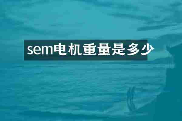 sem电机重量是多少