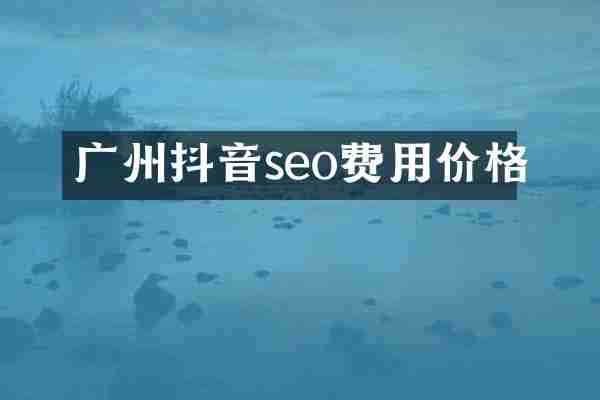 广州抖音seo费用价格