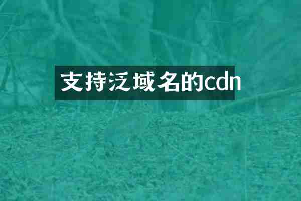 支持泛域名的cdn