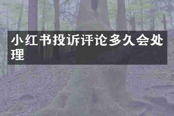 小红书投诉评论多久会处理