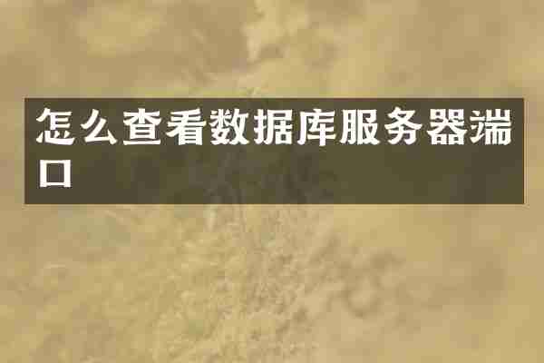 怎么查看数据库服务器端口