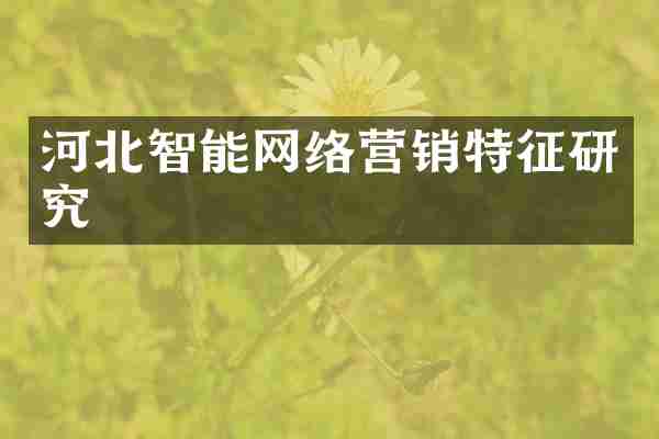 河北智能网络营销特征研究