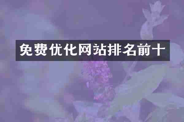 免费优化网站排名前十