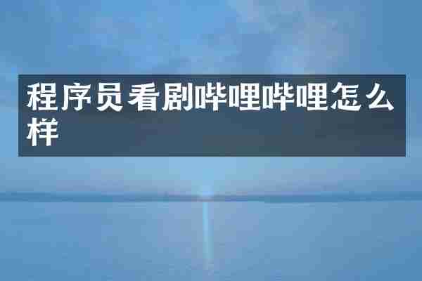 程序员看剧哔哩哔哩怎么样