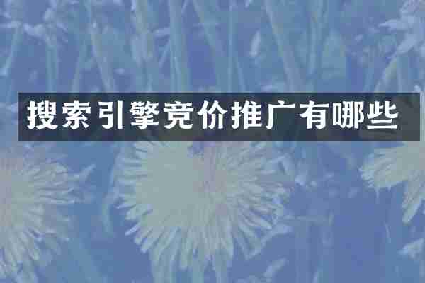 搜索引擎竞价推广有哪些