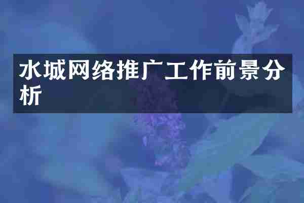 水城网络推广工作前景分析