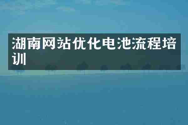 湖南网站优化电池流程培训