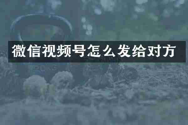 微信视频号怎么发给对方