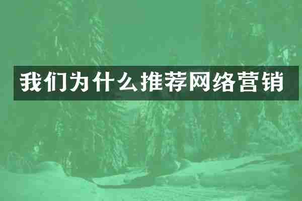 我们为什么推荐网络营销