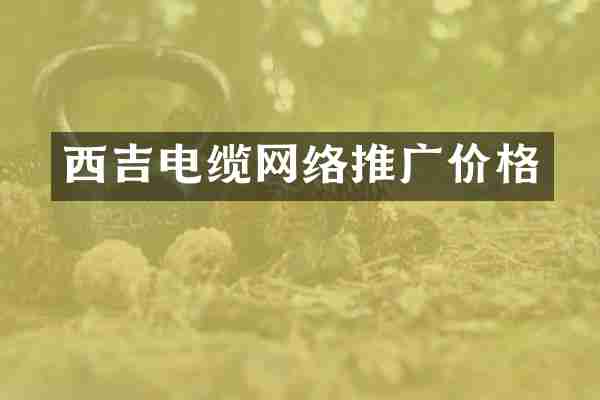 西吉电缆网络推广价格