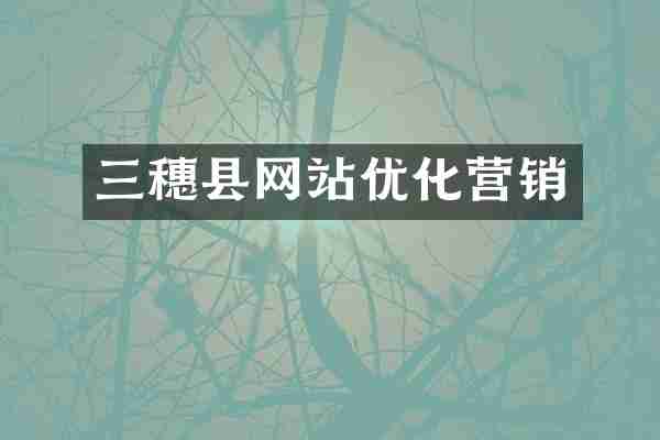 三穗县网站优化营销