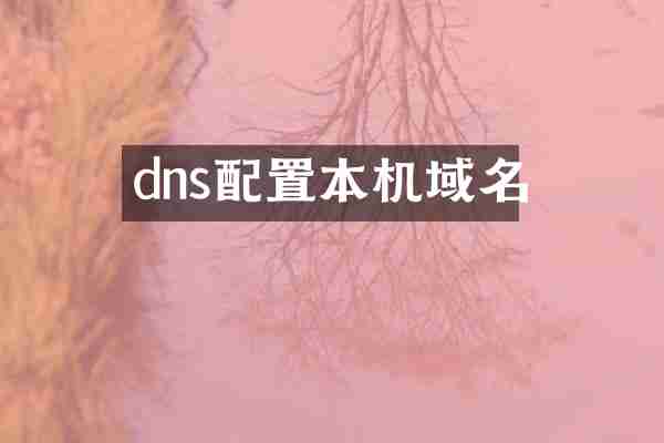 dns配置本机域名