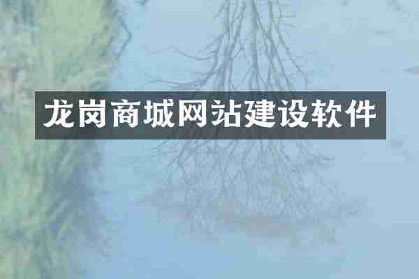 龙岗商城网站建设软件