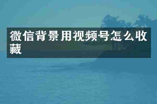 微信背景用视频号怎么收藏