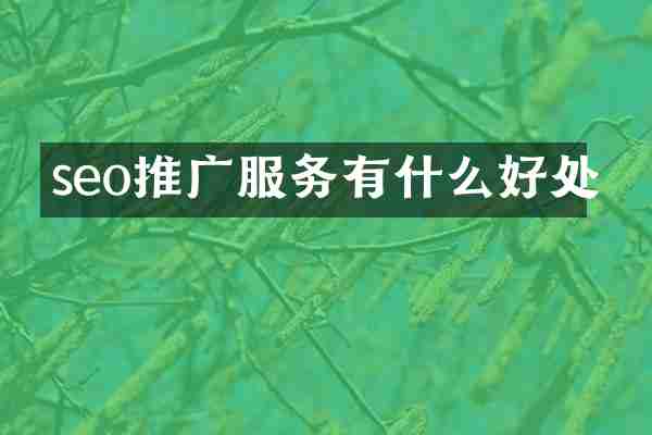 seo推广服务有什么好处