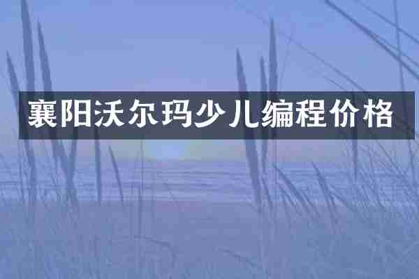襄阳沃尔玛少儿编程价格