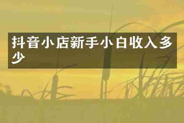 抖音小店新手小白收入多少
