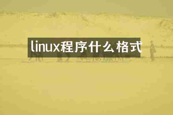linux程序什么格式
