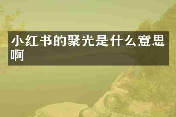小红书的聚光是什么意思啊