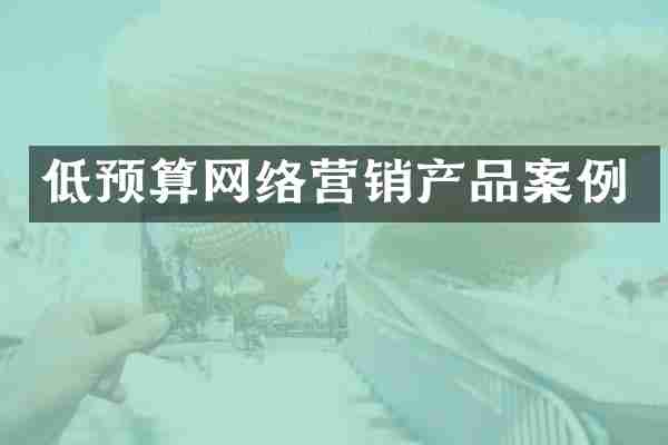 低预算网络营销产品案例