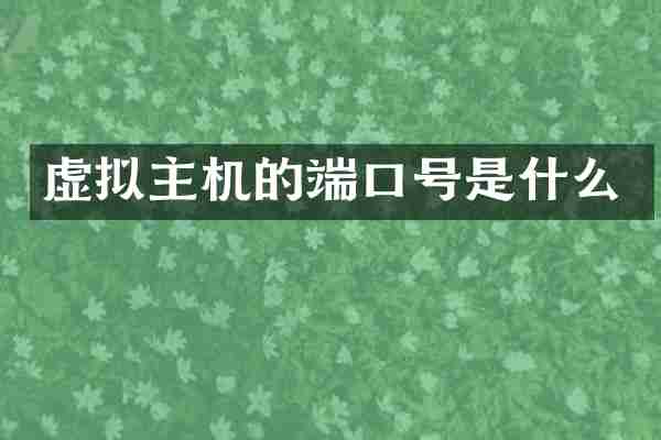 虚拟主机的端口号是什么