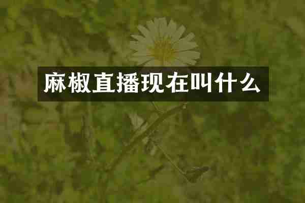 麻椒直播现在叫什么