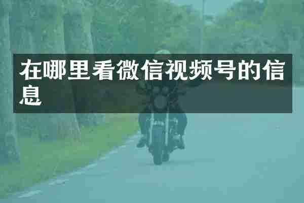 在哪里看微信视频号的信息