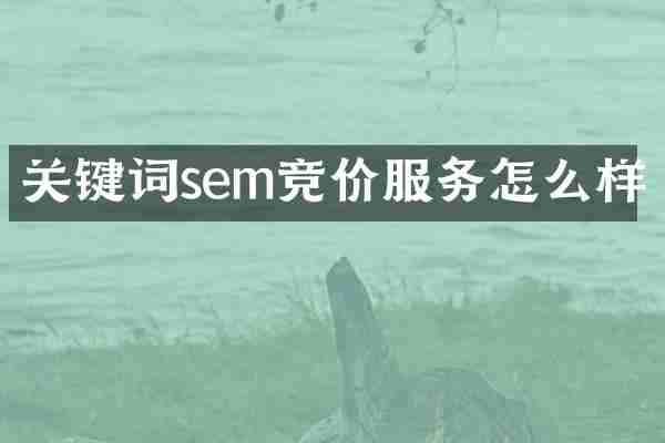 关键词sem竞价服务怎么样