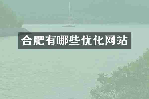 合肥有哪些优化网站