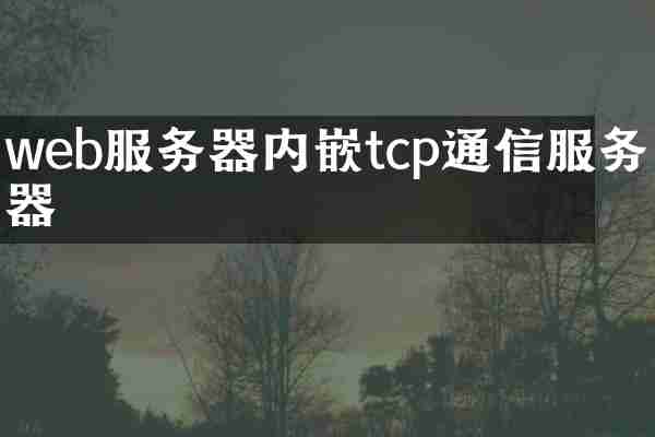 web服务器内嵌tcp通信服务器