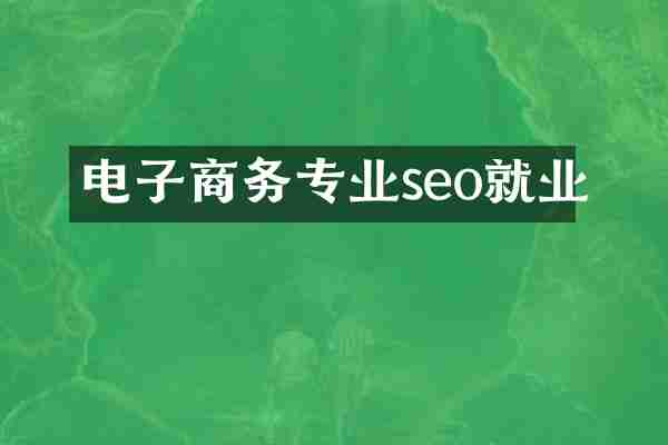 电子商务专业seo就业
