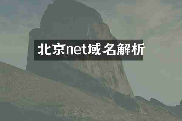北京net域名解析