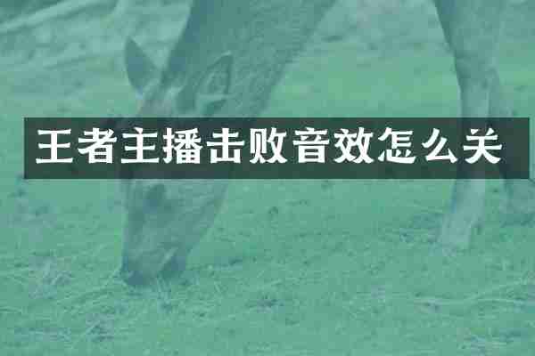 王者主播击败音效怎么关