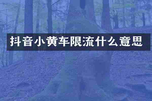 抖音小黄车限流什么意思
