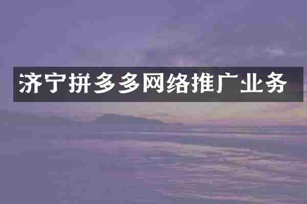 济宁拼多多网络推广业务