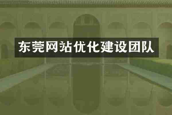 东莞网站优化建设团队